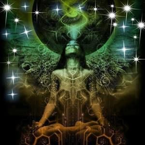 Meet your Posher, Malika